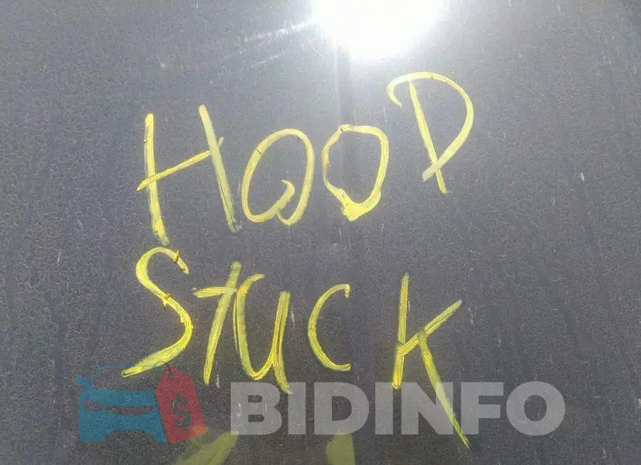 KMHD84LF8LU013511 Photo# 10