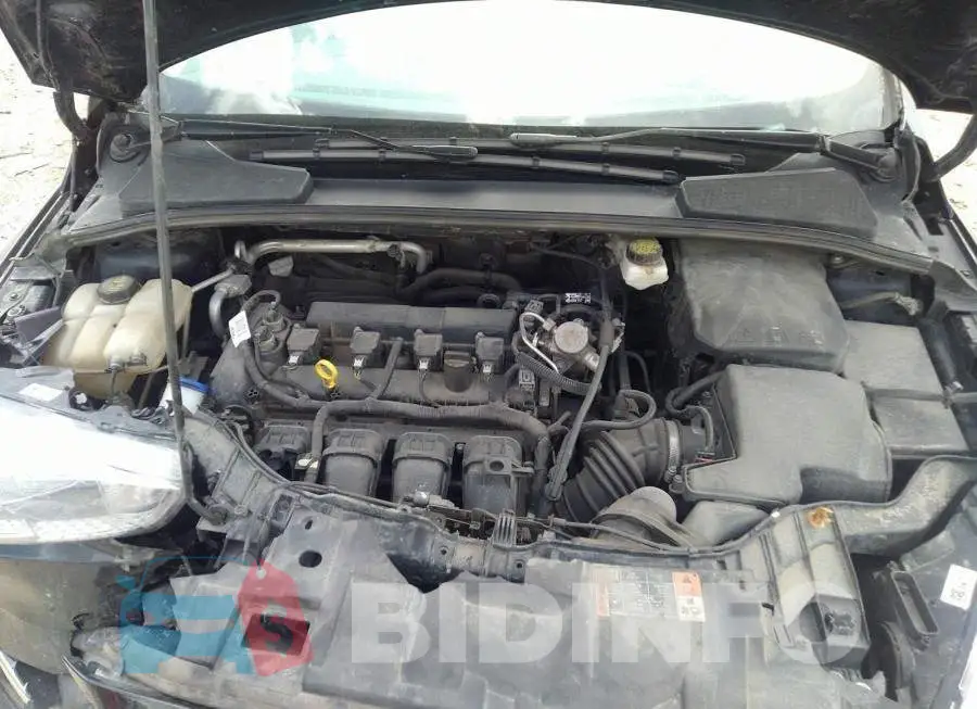 1FADP3K23HL288819 Photo# 10