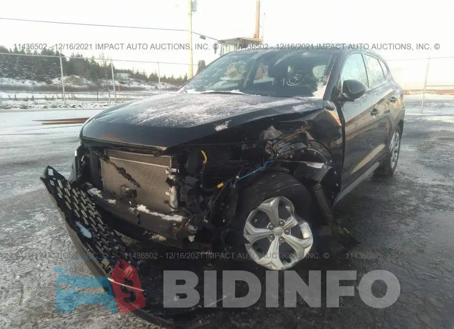 KM8J2CA42LU252181 Photo# 6
