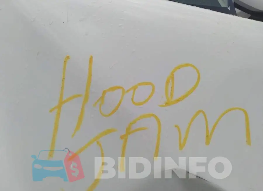 5YFBPRBE2LP004837 Photo# 10