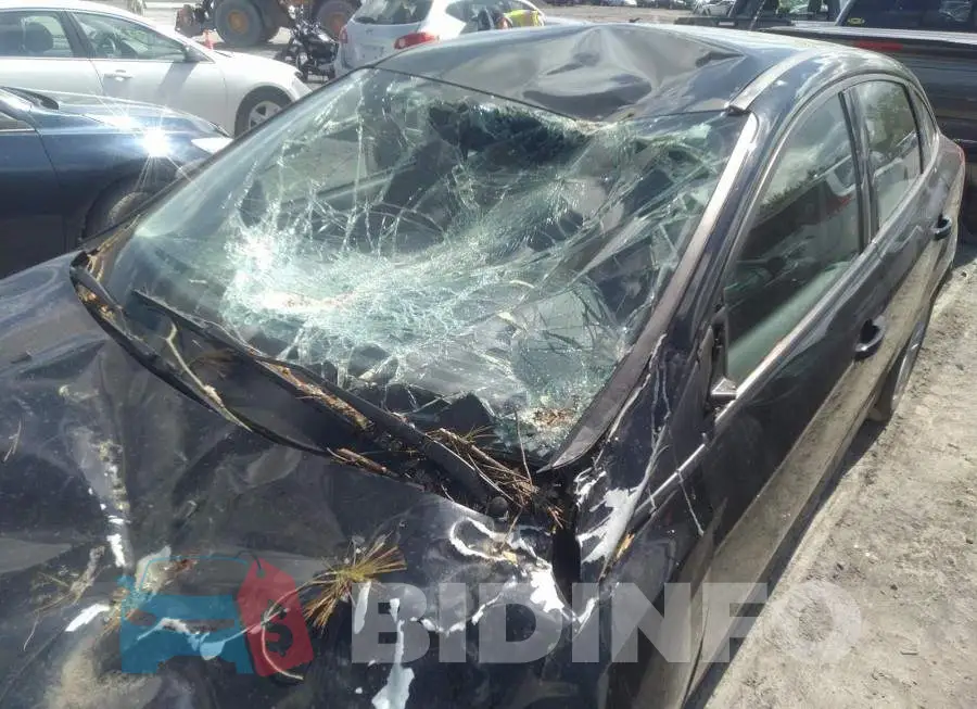 1FADP3F23HL239842 Photo# 6