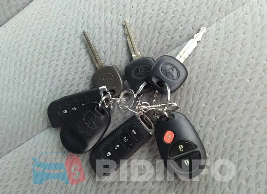 5TDKA3DC5BS003293 Photo# 11