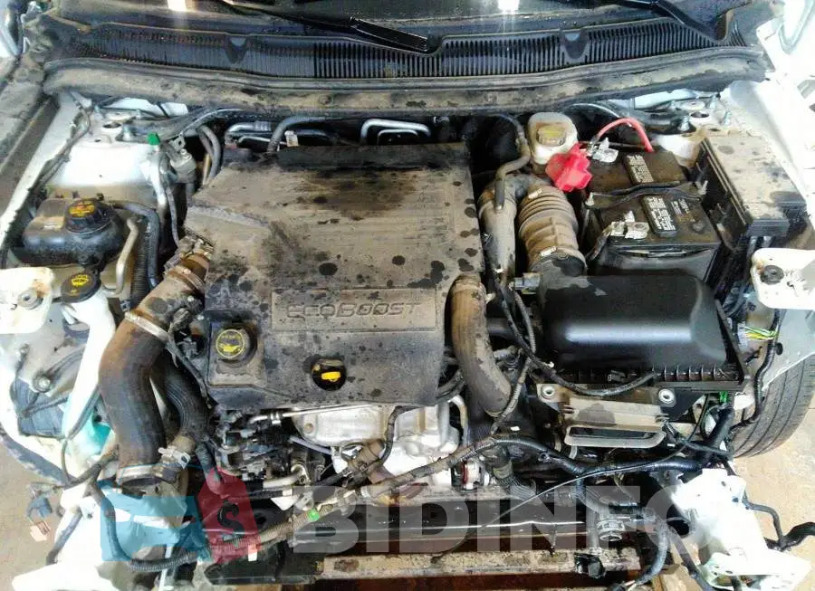 1FM5K8GT5JGC78265 Photo# 10