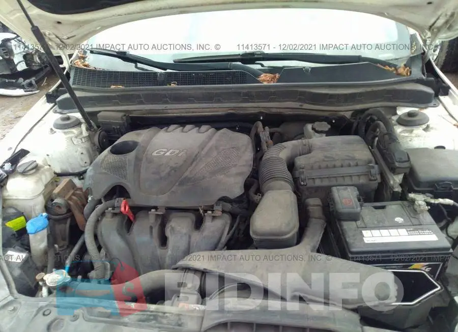 KNAGN4A75C5261695 Photo# 10