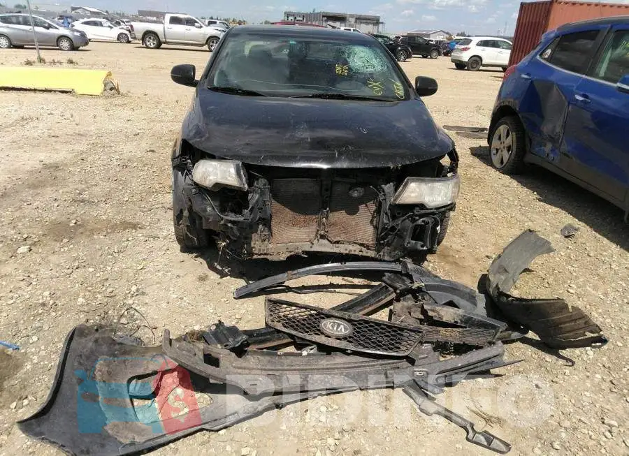 KNAFU6A29B5368262 Photo# 6