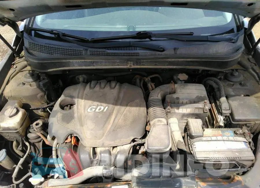 5NPEC4AC0BH033177 Photo# 10