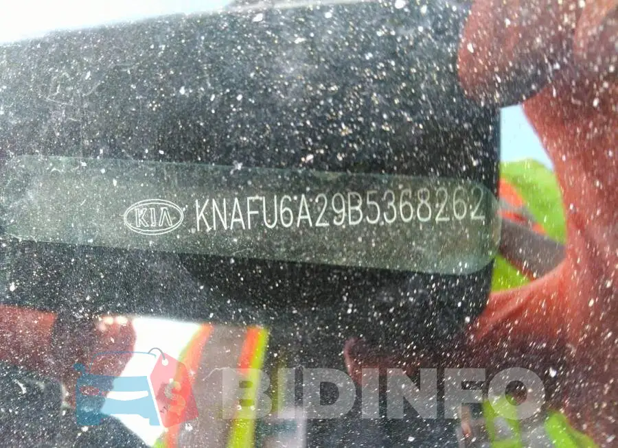 KNAFU6A29B5368262 Photo# 9
