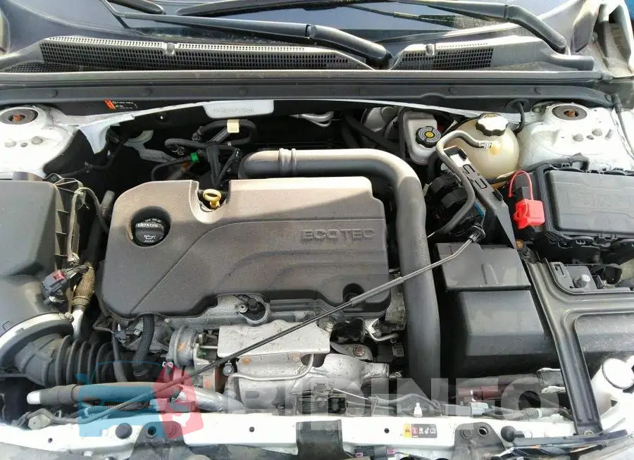 1G1ZD5ST6JF219214 Photo# 10