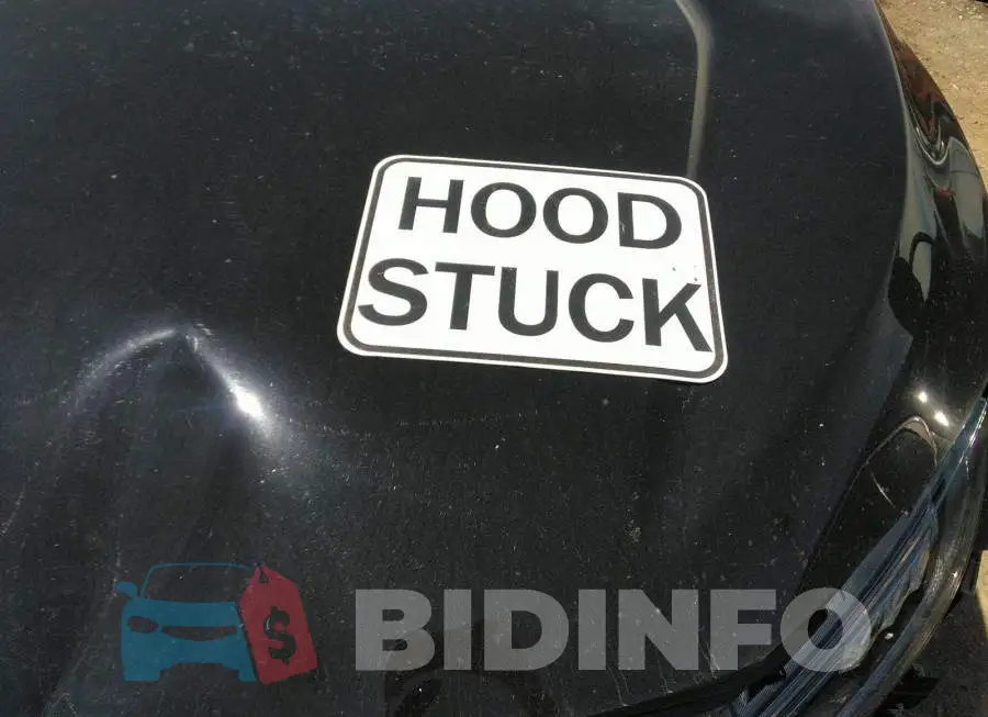 2HGFC1F91MH100110 Photo# 10