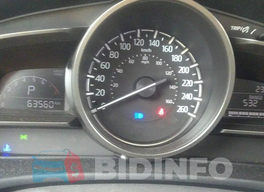 JM1BN1L76J1180654 Photo# 7