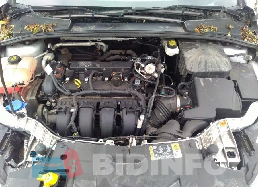 1FADP3F23HL268659 Photo# 10