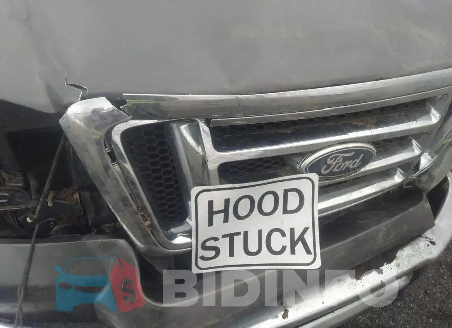 1FTPW14V87FA86626 Photo# 10