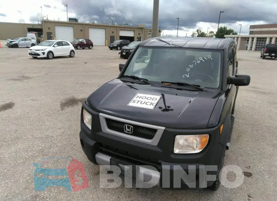 5J6YH18665L800523 Photo# 10