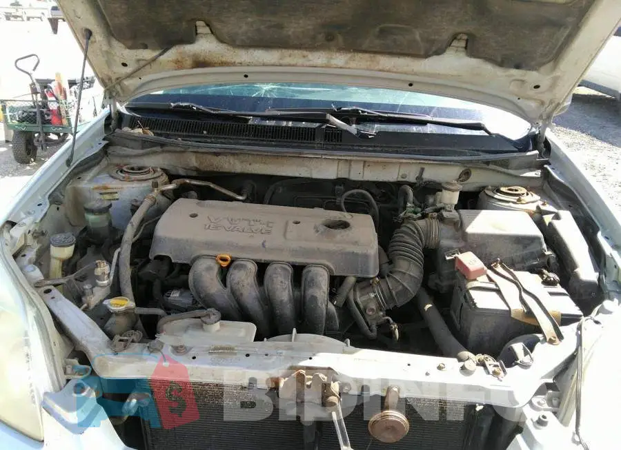 2T1KR32E95C924278 Photo# 10