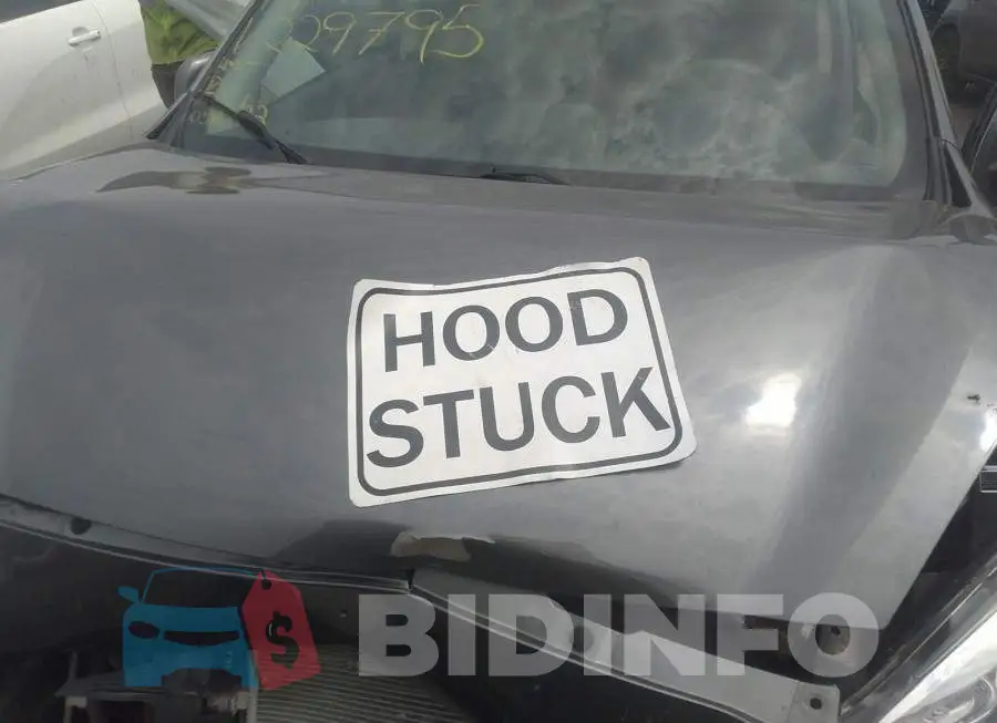 3N1CK3CPXKL229795 Photo# 10