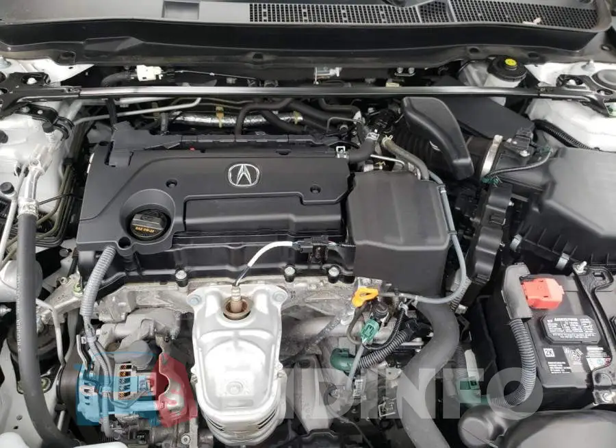 19UUB1F36LA008462 Photo# 7