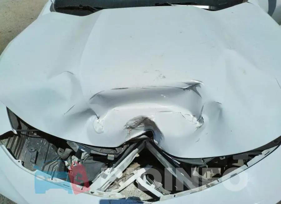 1G1FB1RX7K0117032 Photo# 7