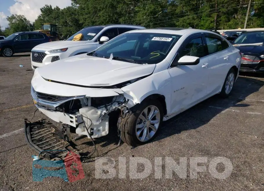 1G1ZD5ST1KF105526 Photo# 2