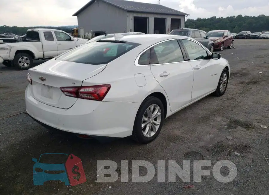 1G1ZD5ST5KF134866 Photo# 4
