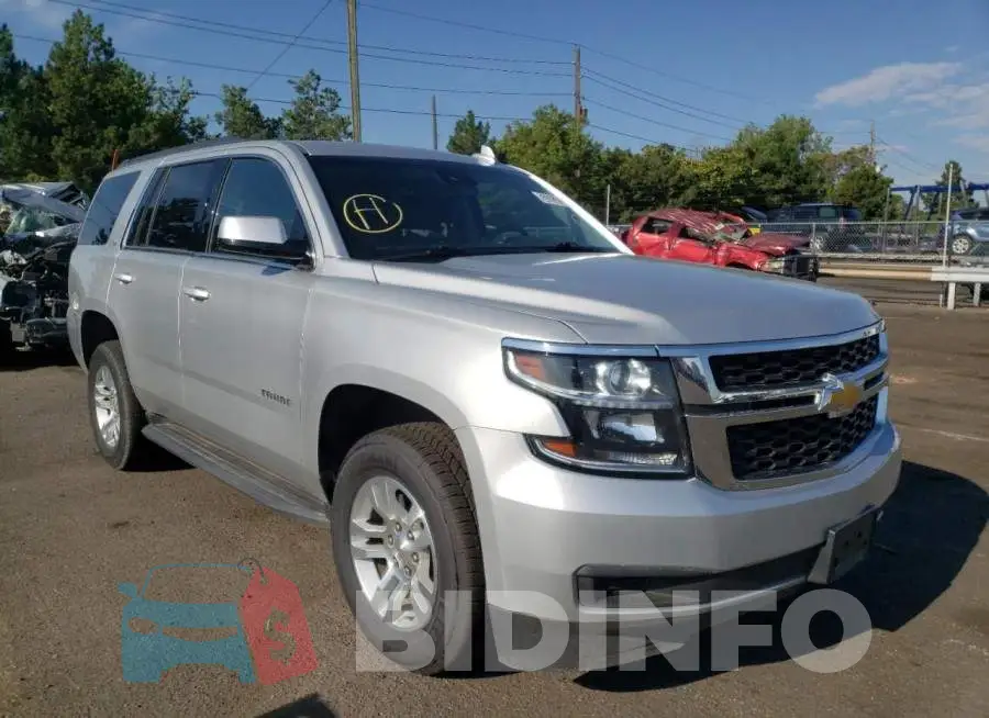 1GNSKBKC8LR257582 Photo# 1
