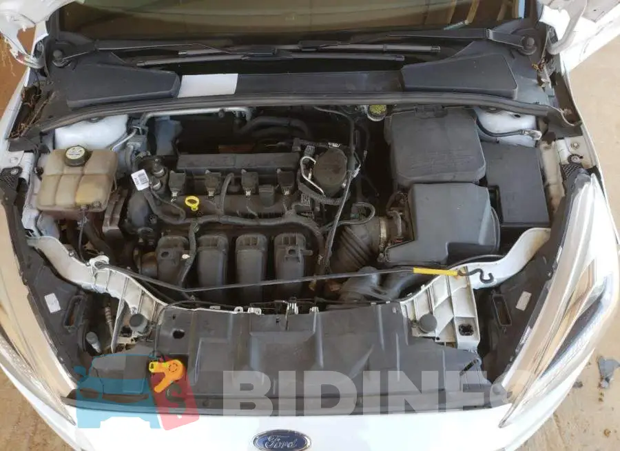1FADP3E27GL219352 Photo# 7