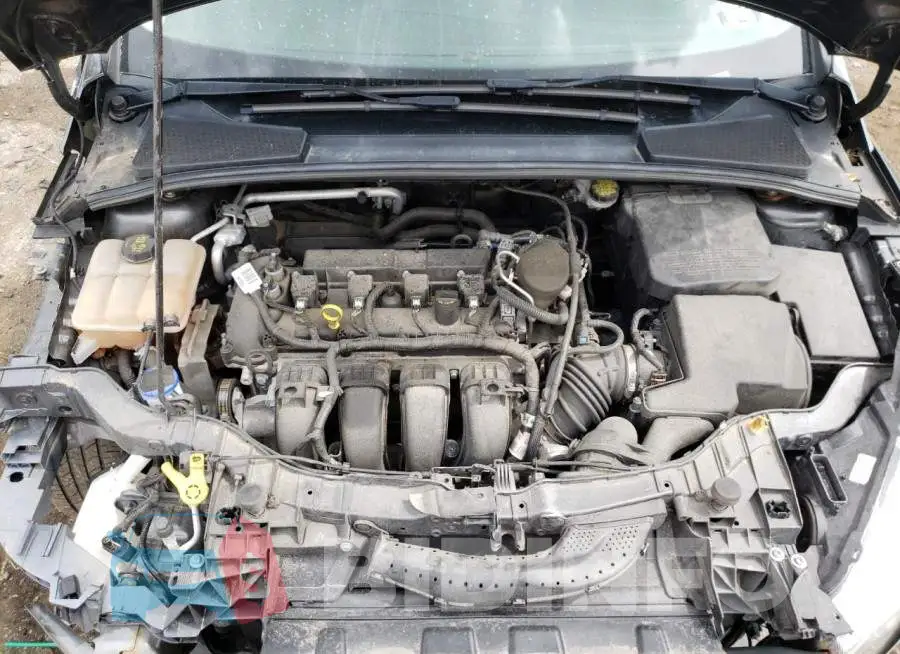 1FADP3F26GL288354 Photo# 7