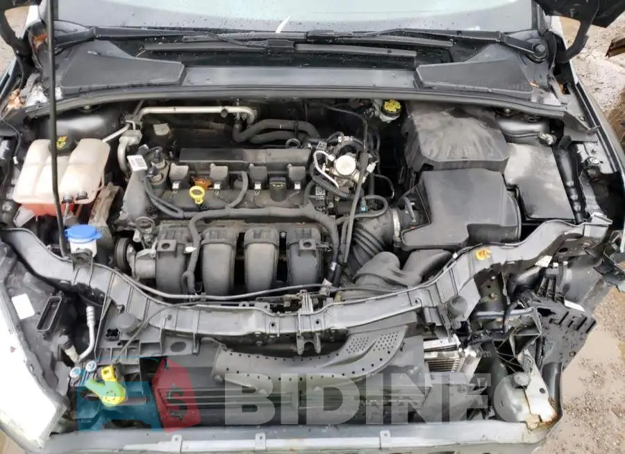 1FADP3F29GL377464 Photo# 7