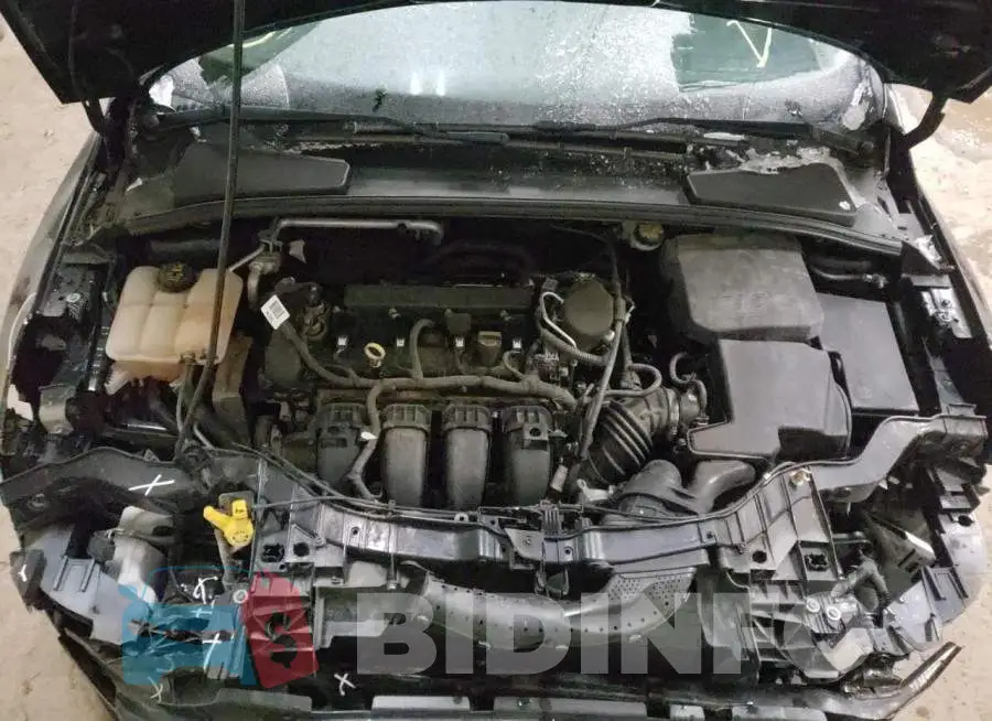 1FADP3K22GL225029 Photo# 7