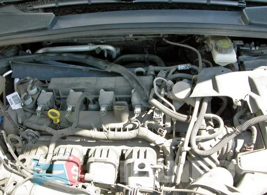 1FADP3M22HL200159 Photo# 7