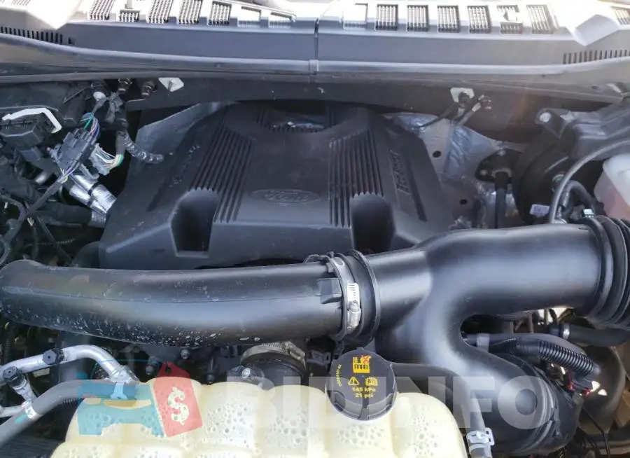 1FTEW1E44KFB50828 Photo# 7