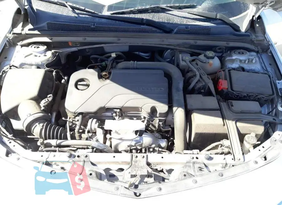 1G1ZD5ST1KF141703 Photo# 7