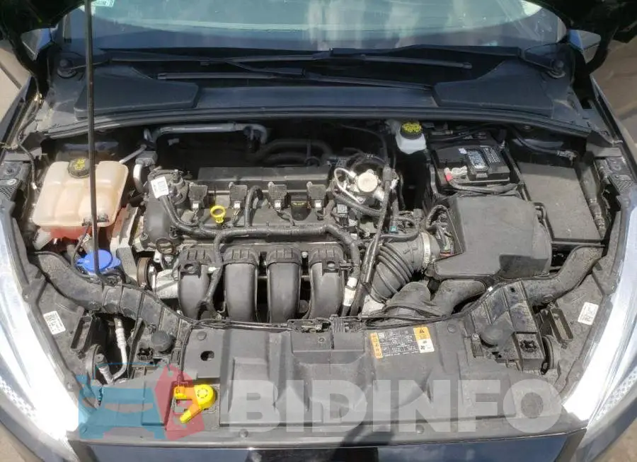 1FADP3F22HL335431 Photo# 7