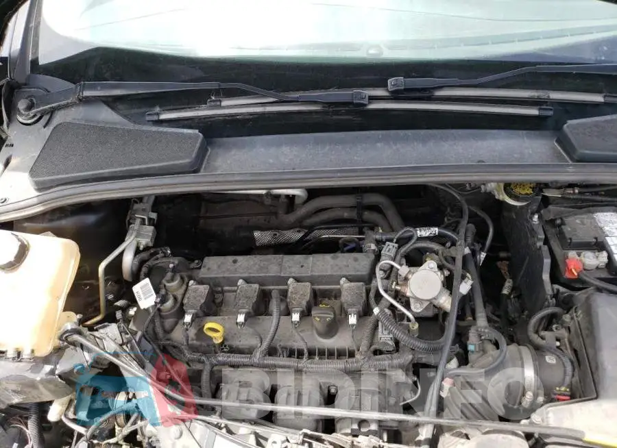 1FADP3F26GL243219 Photo# 7