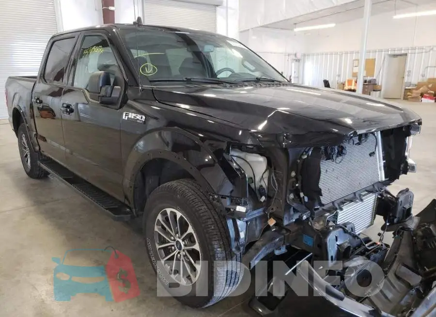1FTEW1EP7LFA52517 Photo# 1