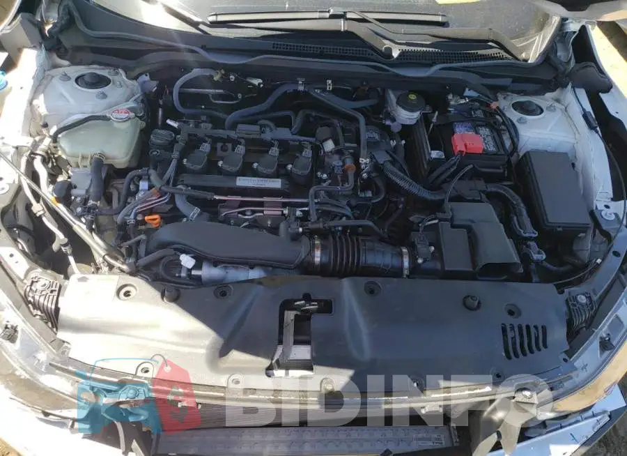 19XFC1F36LE204841 Photo# 7