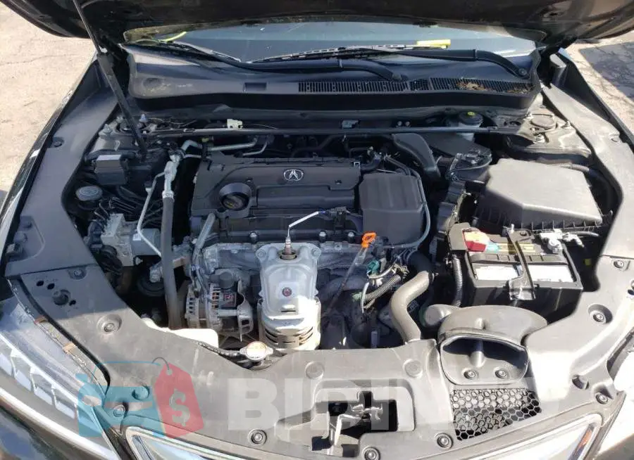19UUB1F52GA006800 Photo# 7