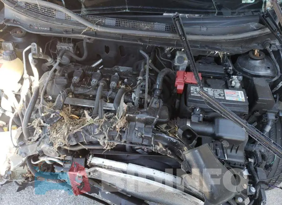 3N1CP5CU9JL537624 Photo# 7
