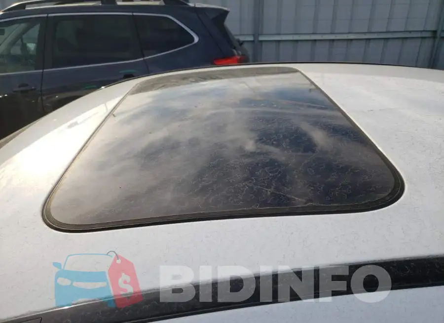 WDDWF8DB6LR562591 Photo# 9