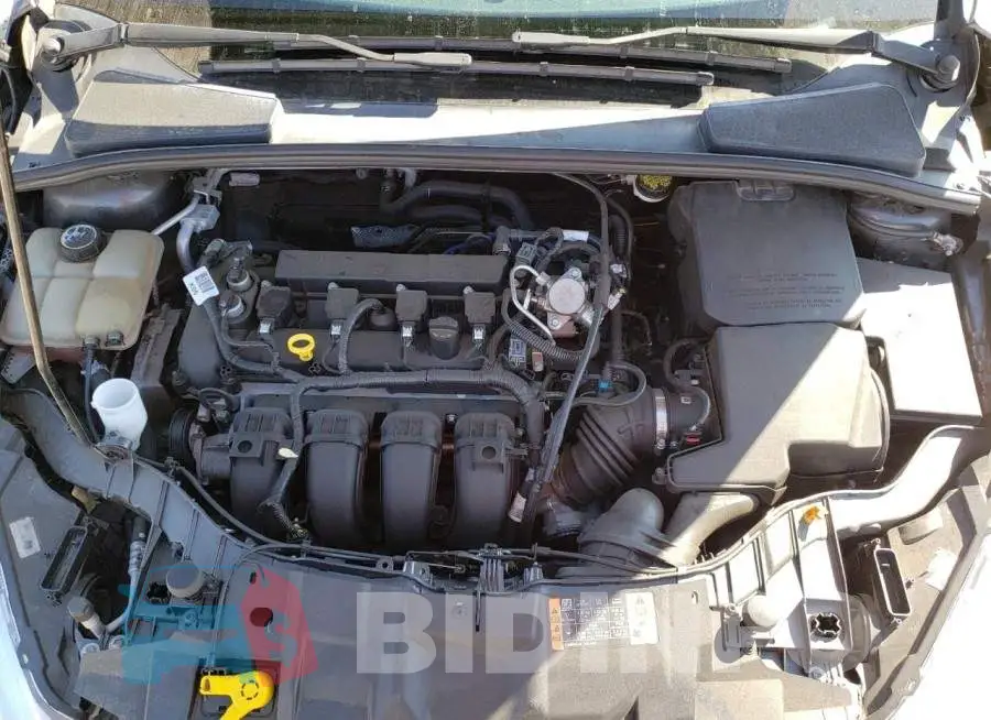 1FADP3F23GL331452 Photo# 7