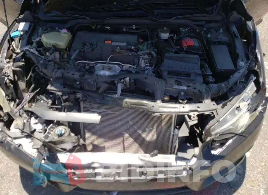 19XFC2F73GE231624 Photo# 7