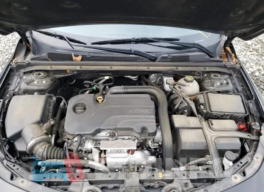 1G1ZD5ST1LF096800 Photo# 7