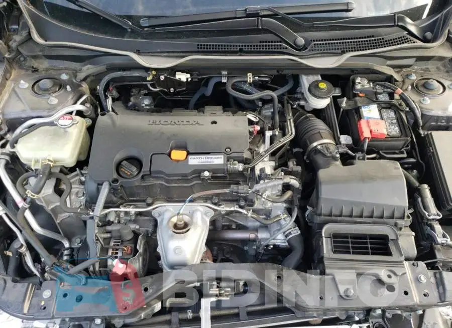 19XFC2F84LE006664 Photo# 7