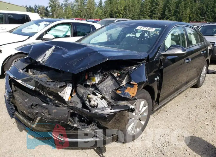 KMHE24L13HA044006 Photo# 2