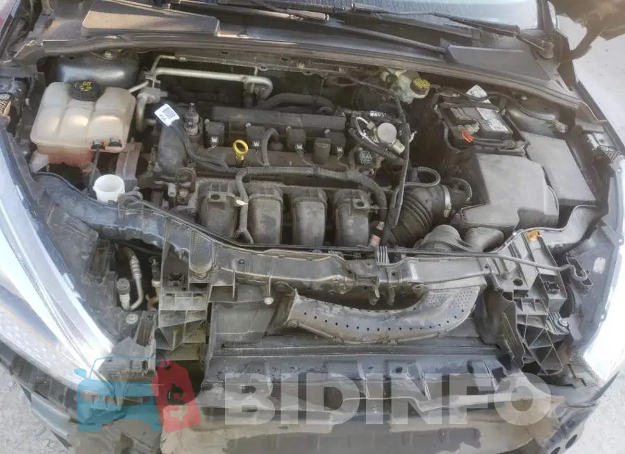 1FADP3E25GL390553 Photo# 7
