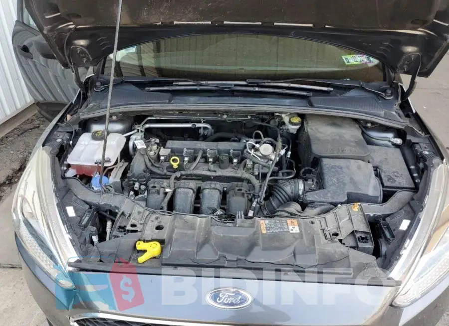 1FADP3E24GL389264 Photo# 7