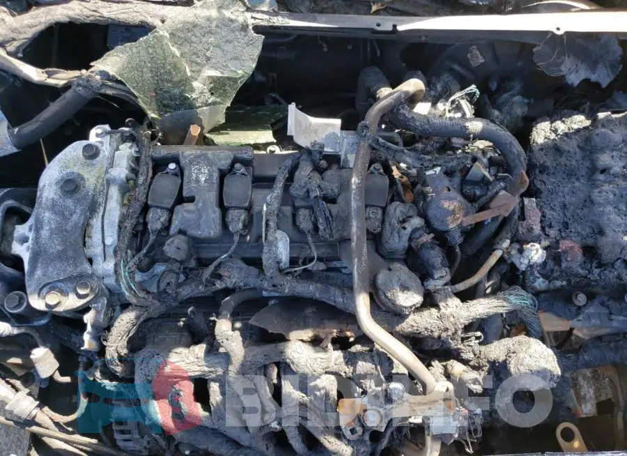 3N1AB8CV2MY295508 Photo# 7