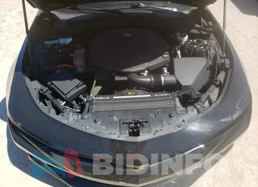 1G1FB1RS3G0157426 Photo# 7
