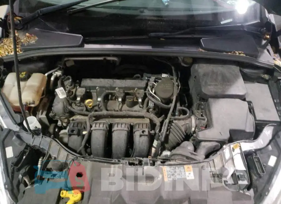 1FADP3F20GL313152 Photo# 7