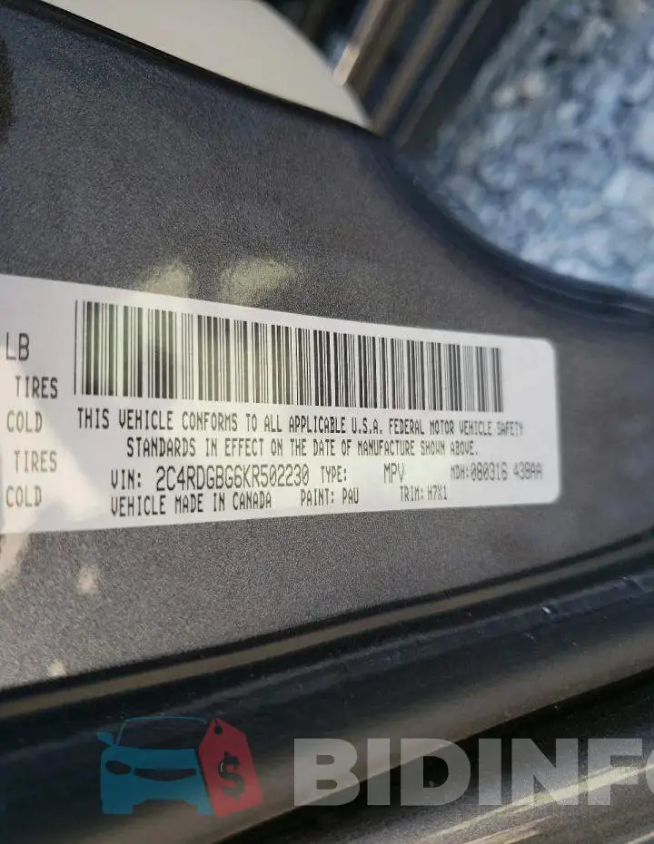 2C4RDGBG6KR502230 Photo# 10