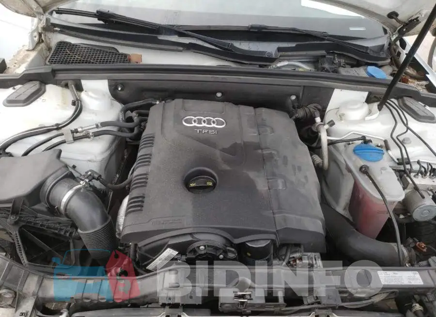 WAUFFAFL5GN004278 Photo# 7